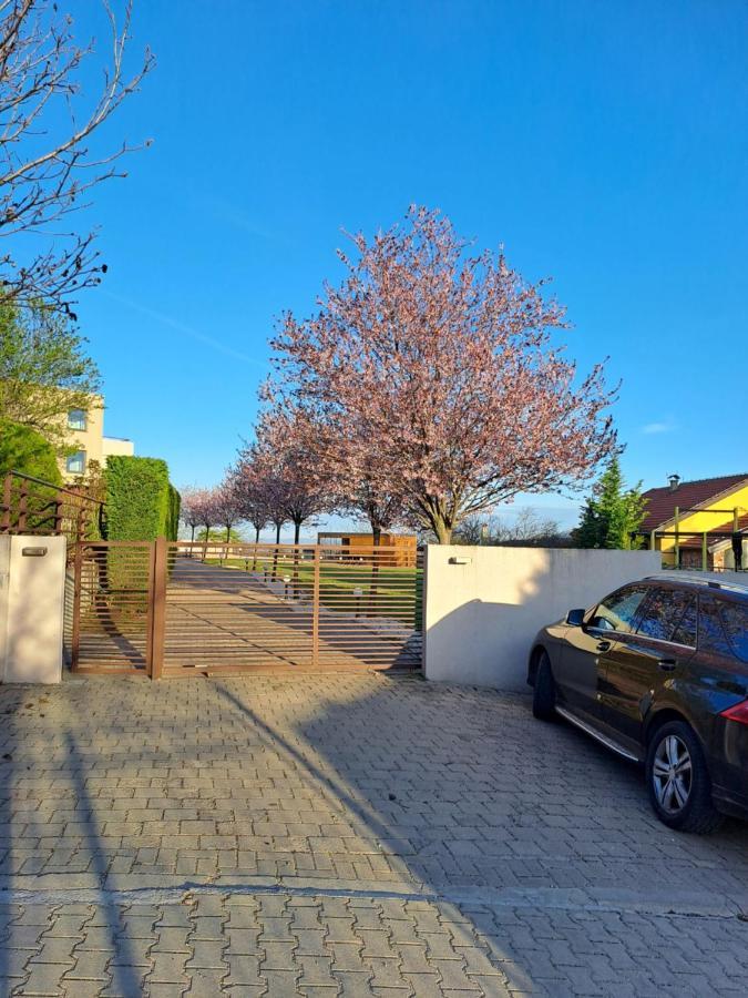 Villa Sunny Side Apartment Skopje Dolno Solnje Ngoại thất bức ảnh